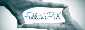 Fidelito'sPIX-webpage content-Cover